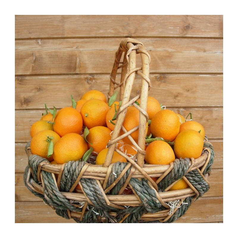 Clementinas