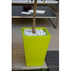 Cono Cuadrado Color Pistacho