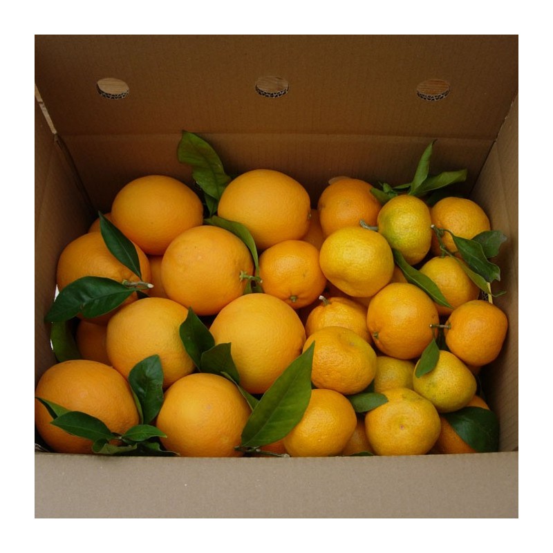 Naranja de Mesa y Mandarina