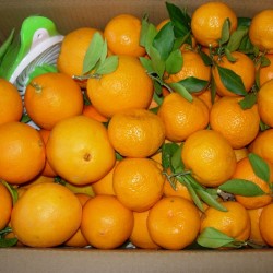 Naranja De Zumo Y Mandarina