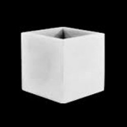 Cubo Fang Lacadas