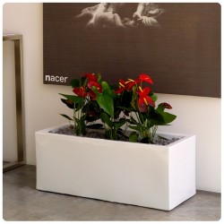 Jardinera