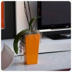 Cono Cuadrado Alto Nano