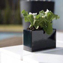 Jardinera Nano Lacadas