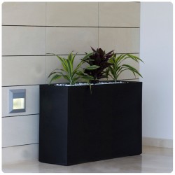 Wall