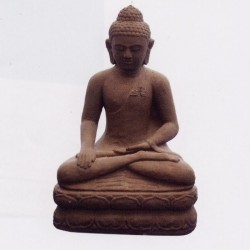 Buddha Vishnu