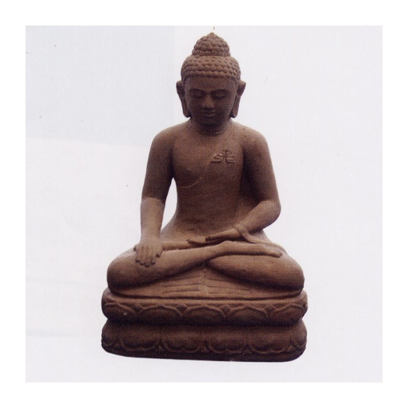 Buddha Vishnu