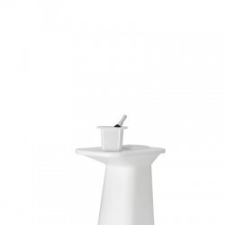 Cubitera