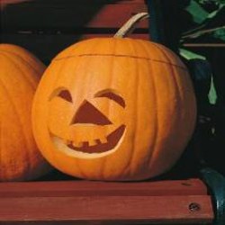 Calabaza  Jacko Latern