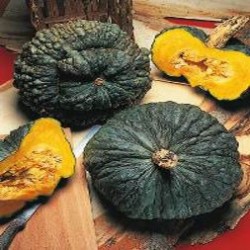 Calabaza Marina de Chioggia