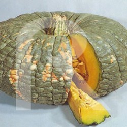 Calabaza Dulce de Horno