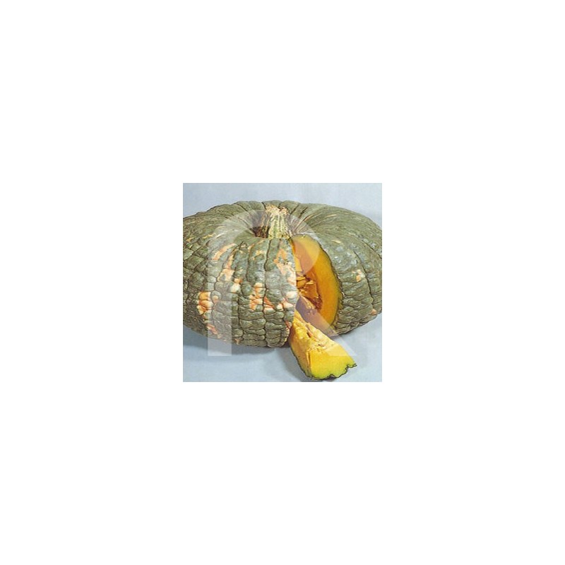 Calabaza Dulce de Horno