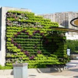 Jardín Vertical / Huerto Urbano
