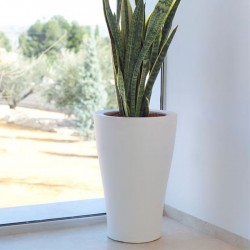 Curvada Aigua