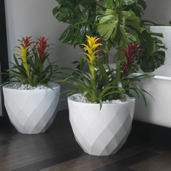 Vases Maceteros