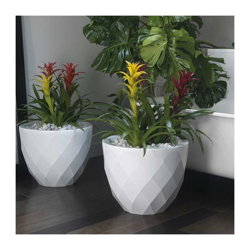 Vases Maceteros