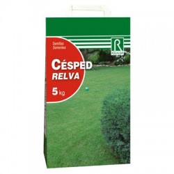 Césped Estético
