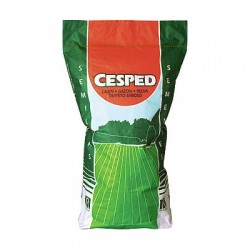Césped Estético