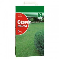 Césped Sol