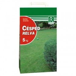 Césped ornamental