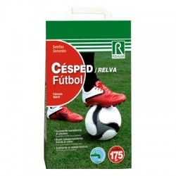 Césped Futbol