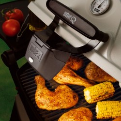 Lampara para el asa Weber Q