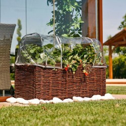 Kit Planter