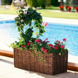 Kit Planter