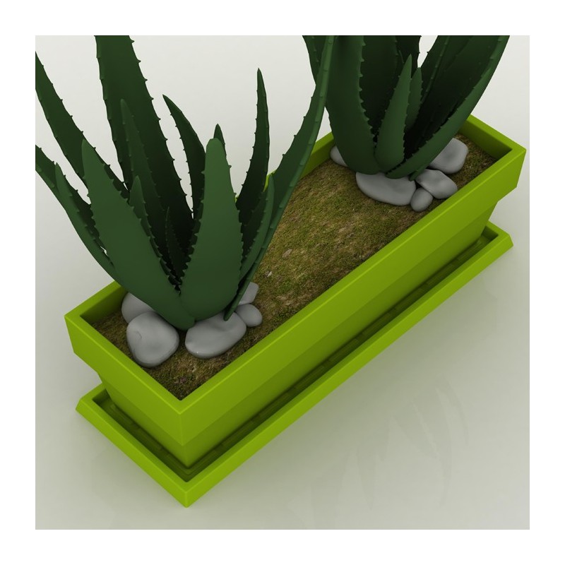 Plato Jardinera fang