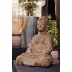 Buddha Viro