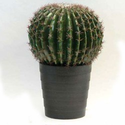 Cactus artificial ferocactus