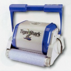 Tiger Shark