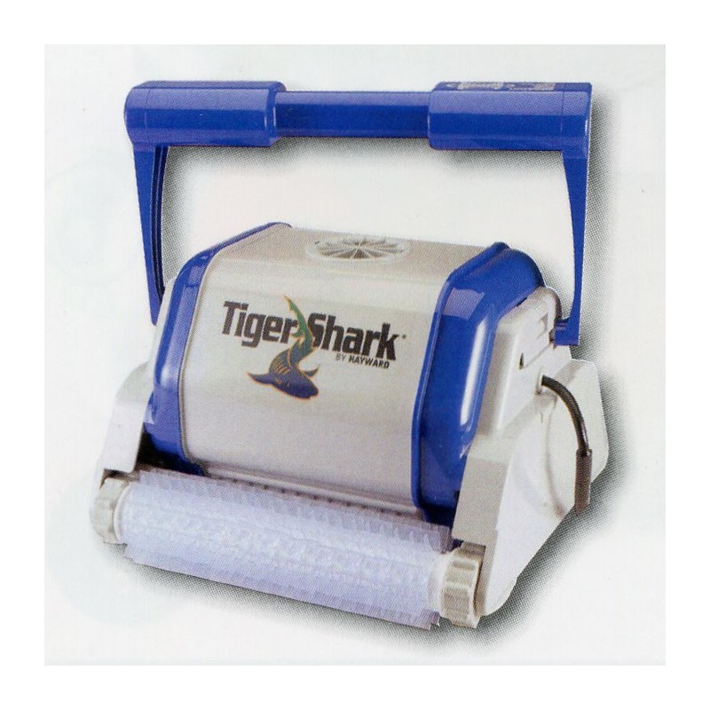 Tiger Shark