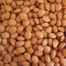 Almendro marcona