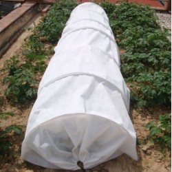 Túnel de cultivo antiheladas