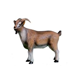 Figura cabrito
