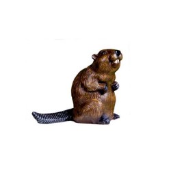 Figura castor