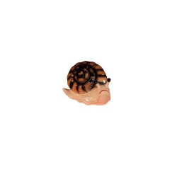 Figura caracol