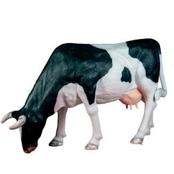 Figura vaca cabeza agachada