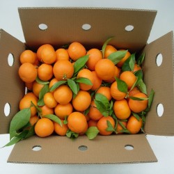 Clementinas