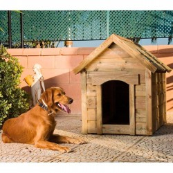 Caseta Perro Standar