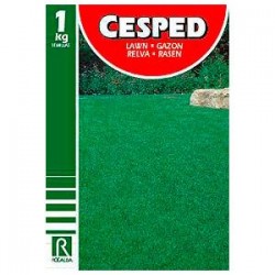 Césped poa trivialis solo