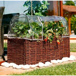 Funda invernadero kit planter
