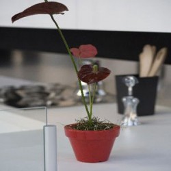 Maceta Nano led VONDOM