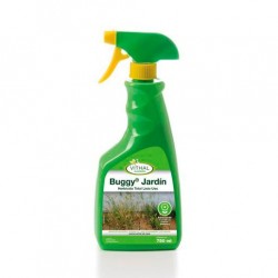 Buggy jardin