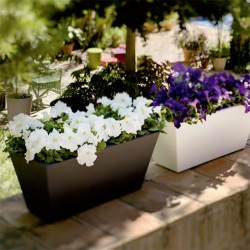 Jardinera Jazmín