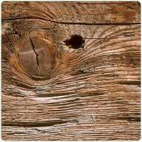 Madera
