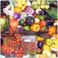 Semillas de hortícolas