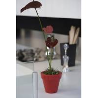 Macetas Vondom Colección Nano