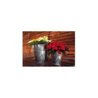 Gama Garden Deco